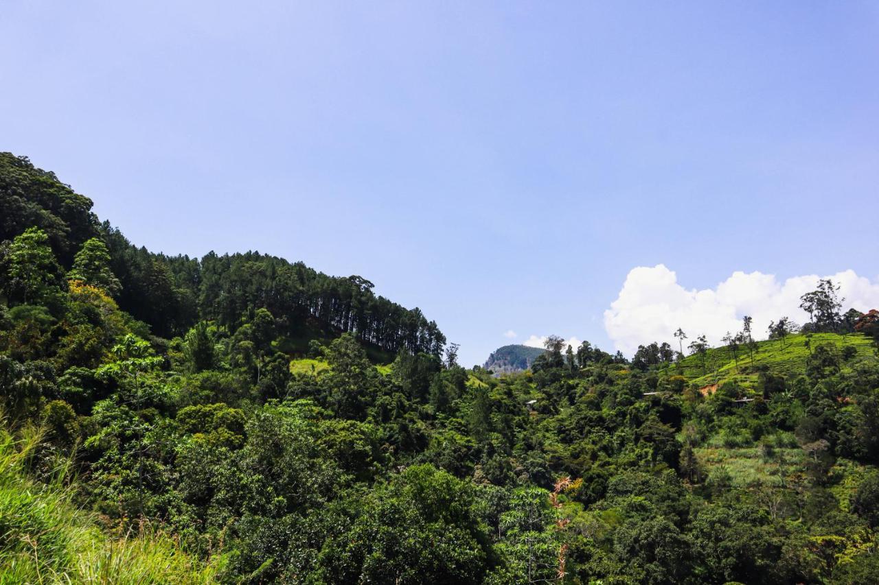 Nature Walk Ella Luaran gambar