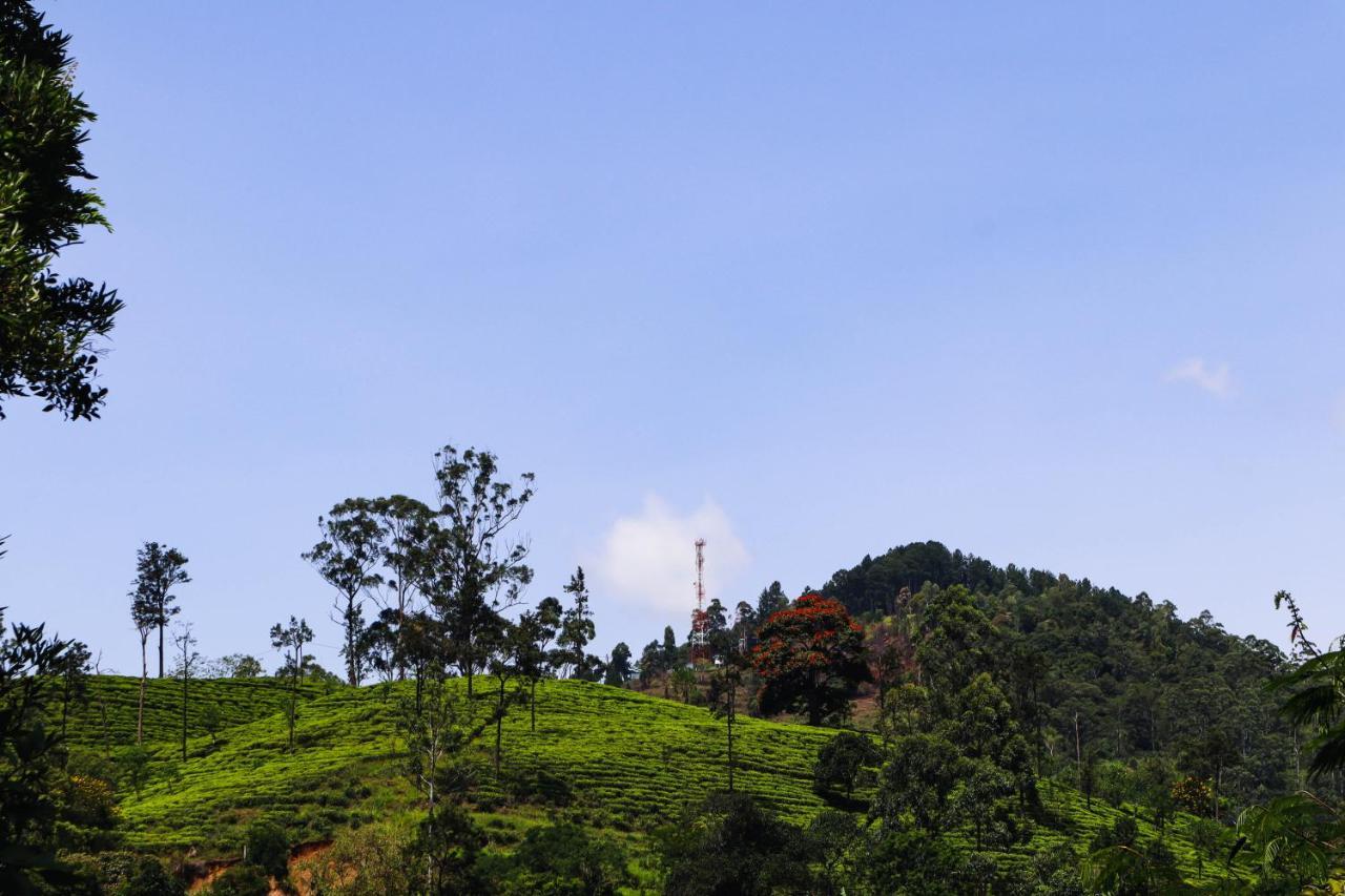 Nature Walk Ella Luaran gambar