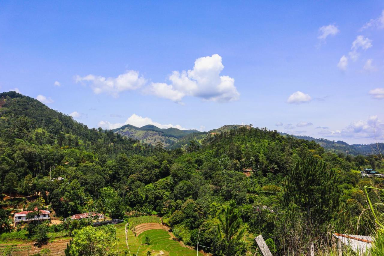 Nature Walk Ella Luaran gambar
